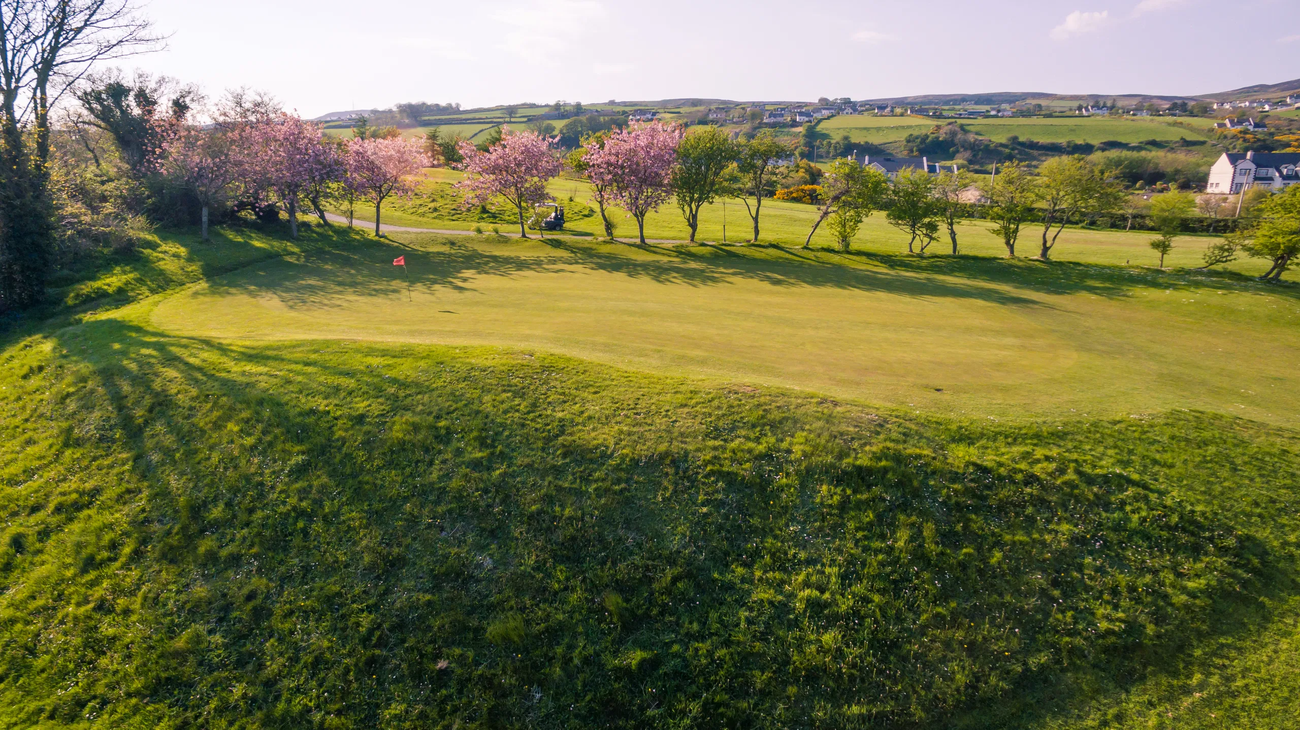 Sunny golf green with red flag, cherry blossoms and rolling Irish countryside dotted with houses