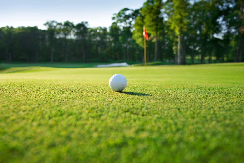 Golf ball on a sunlit putting green near the hole and red flag, trees in the background