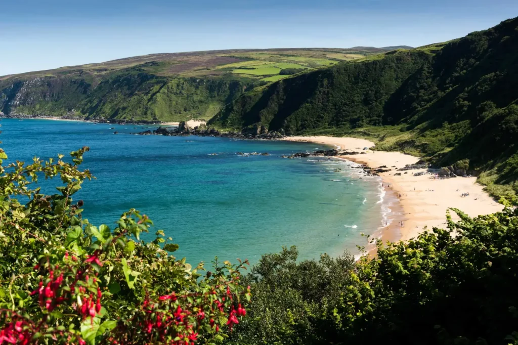 Turquoise cove and golden sand below green cliffs on the Irish Atlantic coast, fuchsia blooming in the hedgerows.