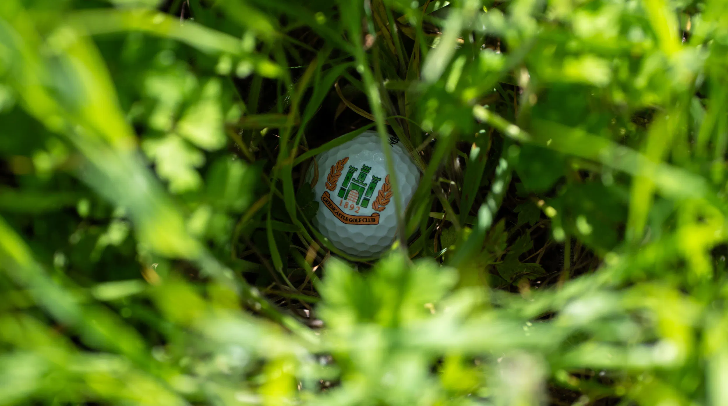 Golf ball nestled in lush green grass displaying a vibrant logo, offering a sense of hidden challenge.